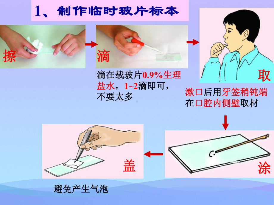 《人和动物细胞的结构和功能》课件-002.pptx_第3页