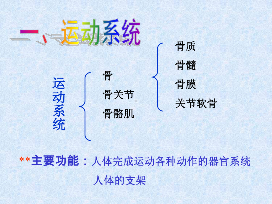 人体九大系统全解资料课件.ppt_第3页