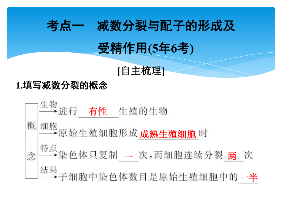 动物精子和卵细胞形成过程及受精作用课件.ppt_第2页