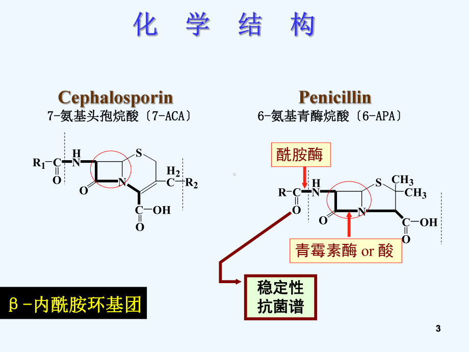 内酰胺类抗生素ZHT课件.ppt_第3页