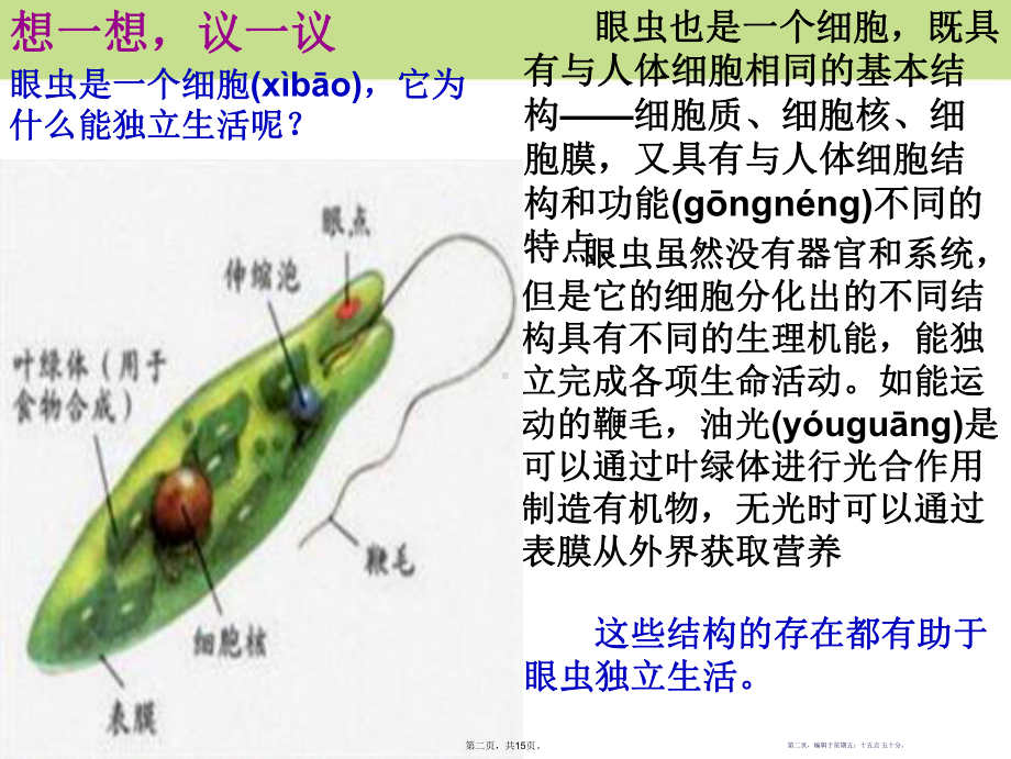 《单细胞生物》课件.pptx_第2页