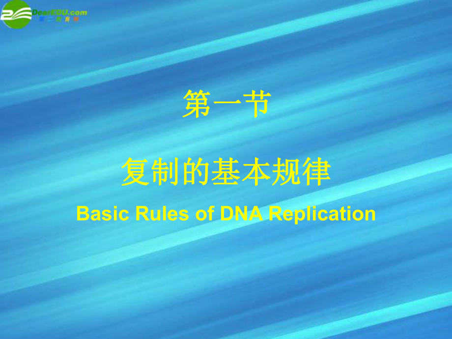 高考生物竞赛 DNA的生物合成课件.ppt_第3页