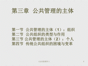 公共管理的主体概论课件.ppt