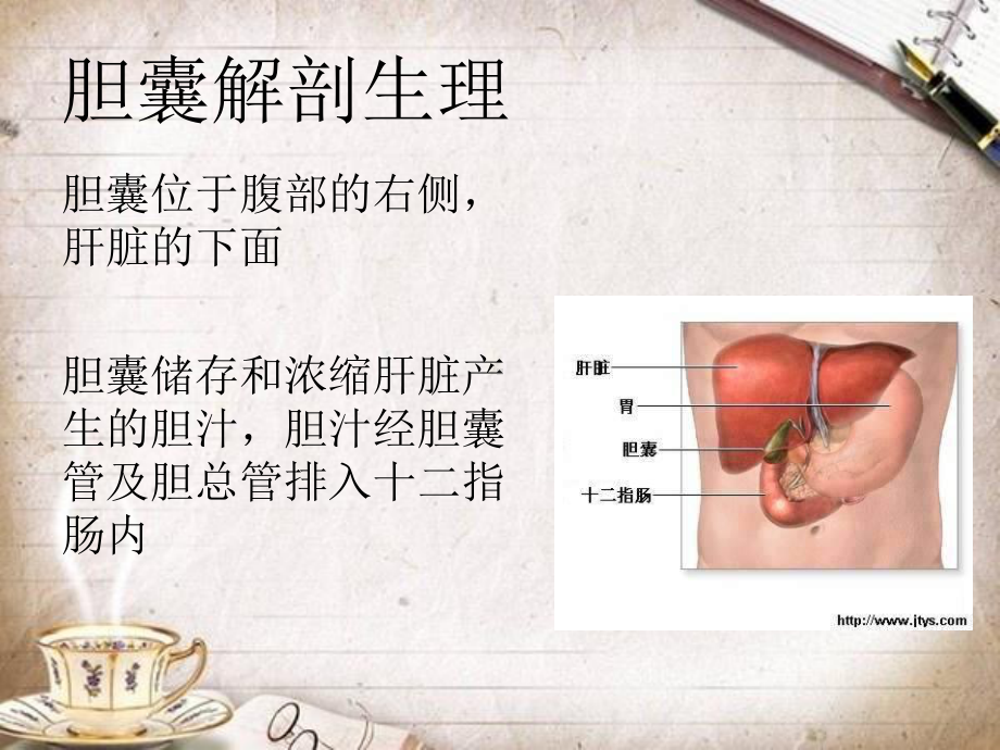 lc术后护理课件.ppt_第2页