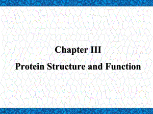 高等教学大一英语下课件：ProteinStructureandFunction.ppt