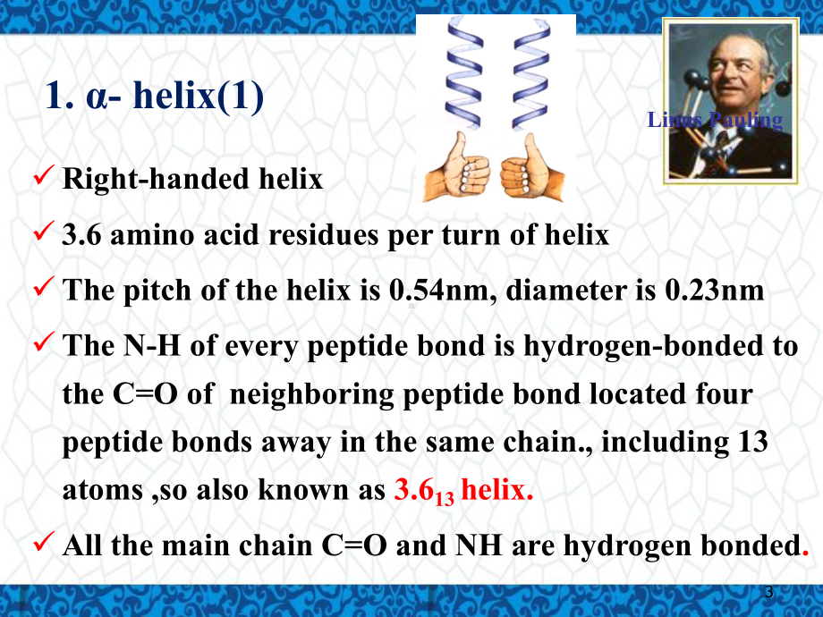 高等教学大一英语下课件：ProteinStructureandFunction.ppt_第3页