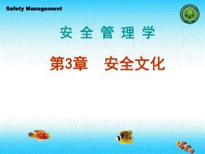 安全管理学课件第3章-安全文化.ppt