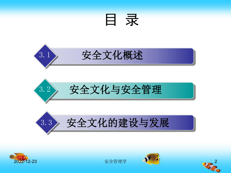 安全管理学课件第3章-安全文化.ppt_第2页