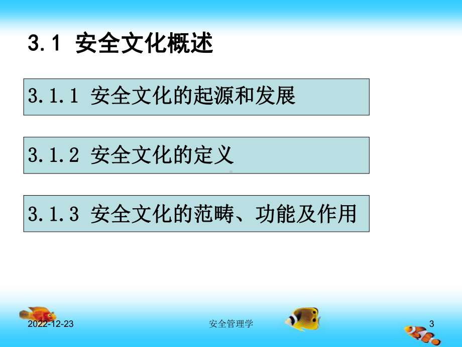 安全管理学课件第3章-安全文化.ppt_第3页