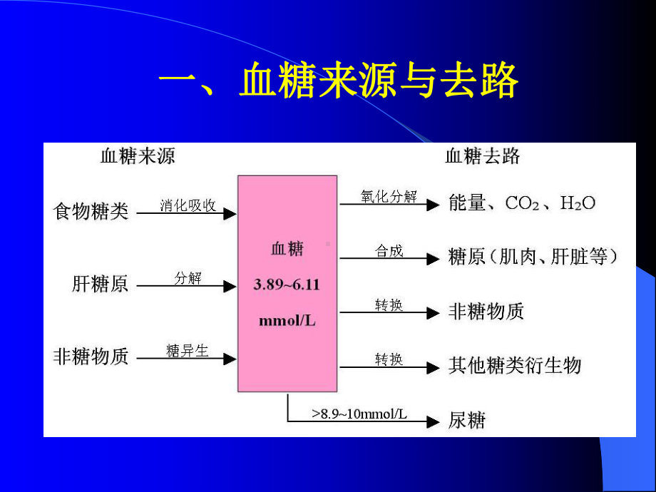 [基础医学]糖代谢与衰老课件.ppt_第3页