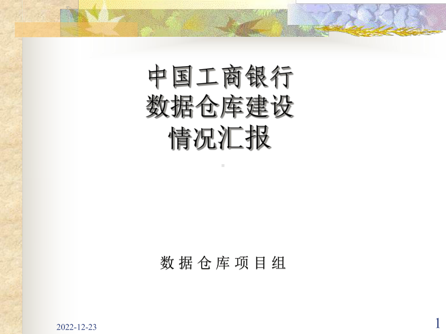 工商银行数据仓库总体设计课件.ppt_第1页