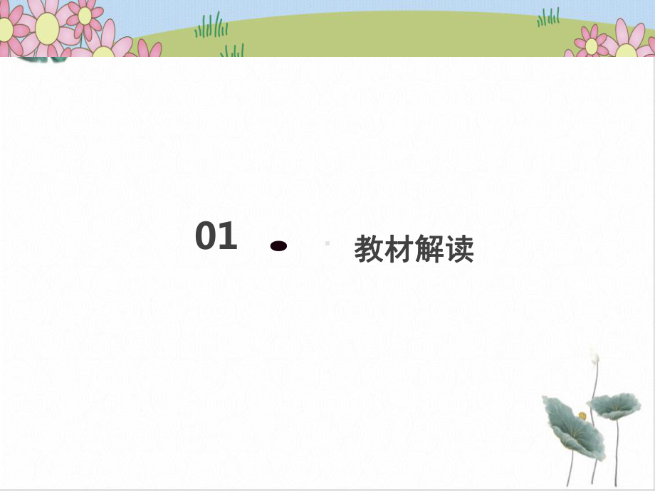 可爱的动物部编版2课件.ppt_第3页