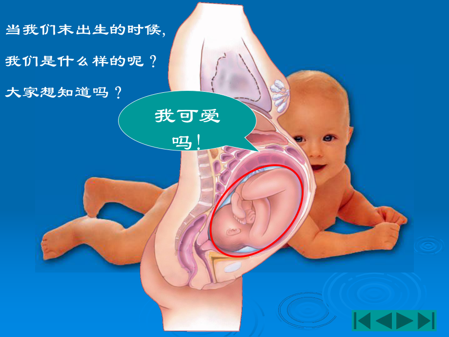 妊娠诊断1课件.ppt_第2页