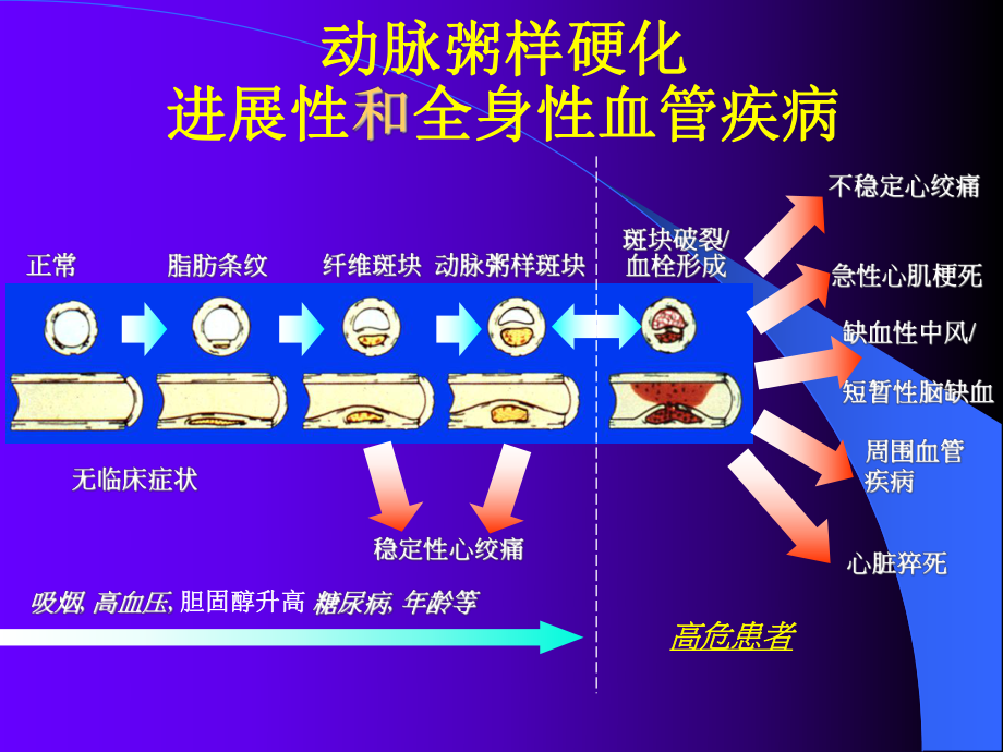 降胆固醇防治冠心病地位与现状课件.ppt_第2页