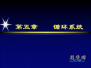 先天性心脏、大血管位置和连接异常影像诊断课件.ppt