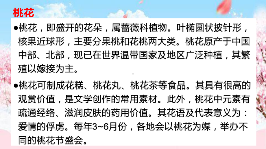 八年级语文人教部编版下册《桃花源记》课件.pptx_第2页