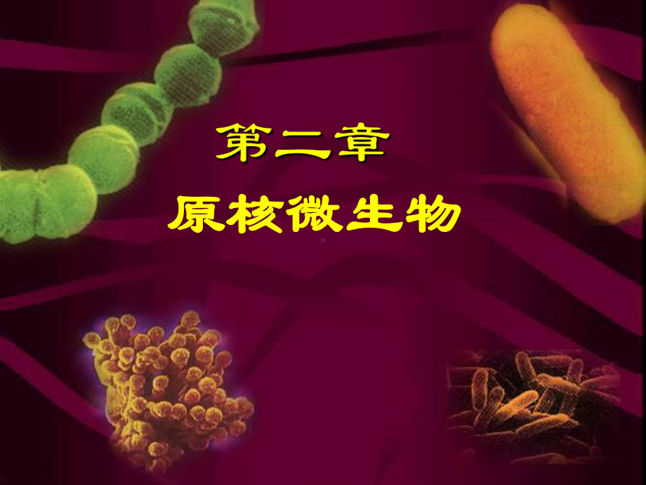 微生物学第二章原核微生物课件.ppt_第1页