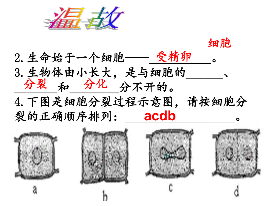 动物体的结构层次公开课-课件.ppt_第1页