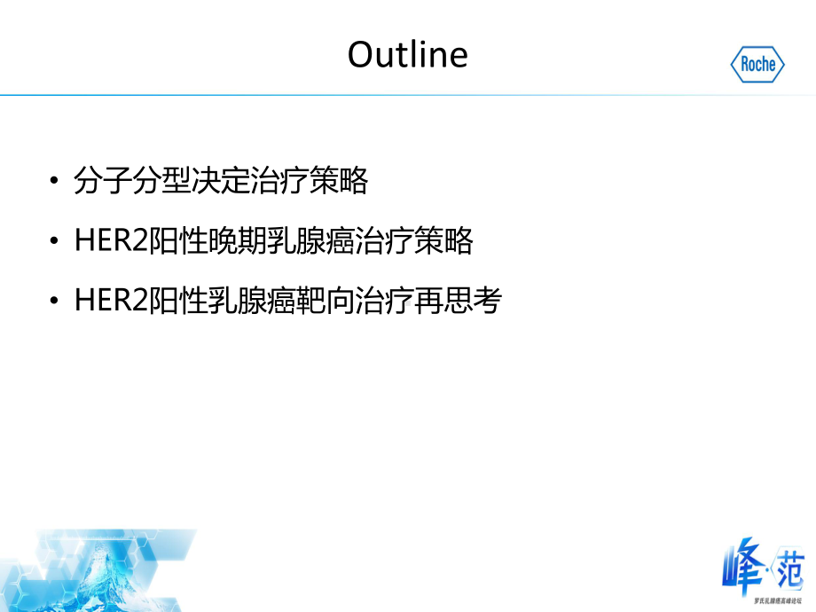 HER阳性晚期乳腺癌靶向治疗再思考课件.ppt_第3页