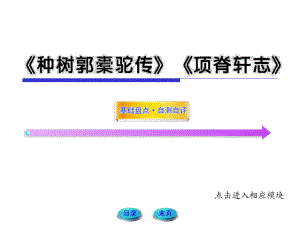 高三语文一轮复习课件：《种树郭橐驼传》《项脊轩志》(新人教选修)(湖南专用).ppt