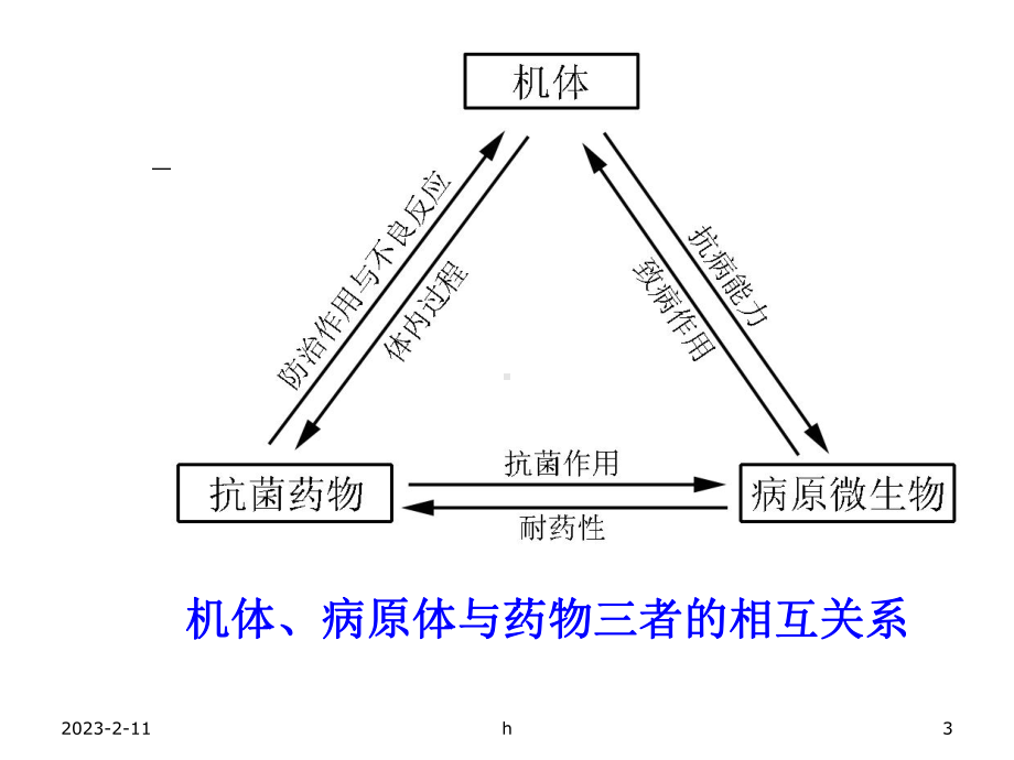 《抗菌药物概论》课件.ppt_第3页