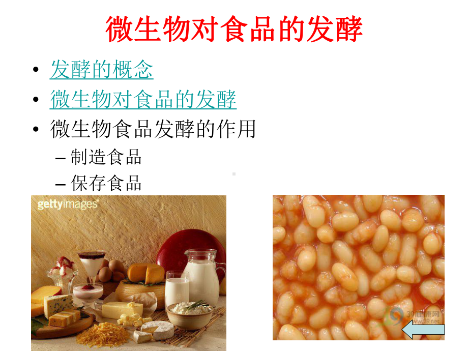 《微生物与食品制造》课件.ppt_第3页