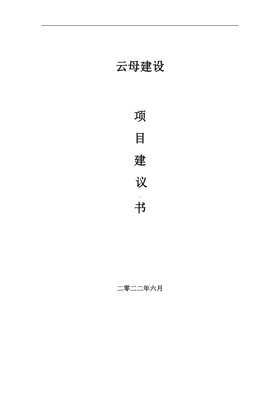 云母项目建议书（写作模板）.doc_第1页