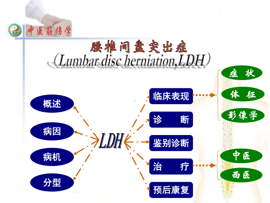 腰部筋伤腰椎间盘突出症课件.ppt_第2页