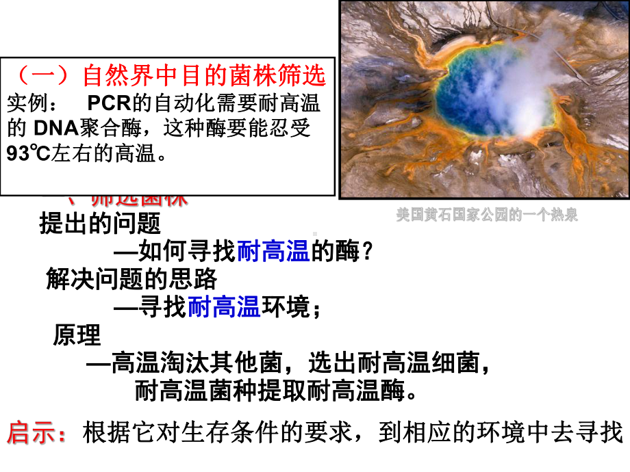 22土壤中分解尿素的细菌的分离与计数课件.ppt_第2页