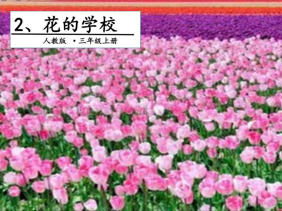 部编版课件《花的学校》课件16.pptx_第1页