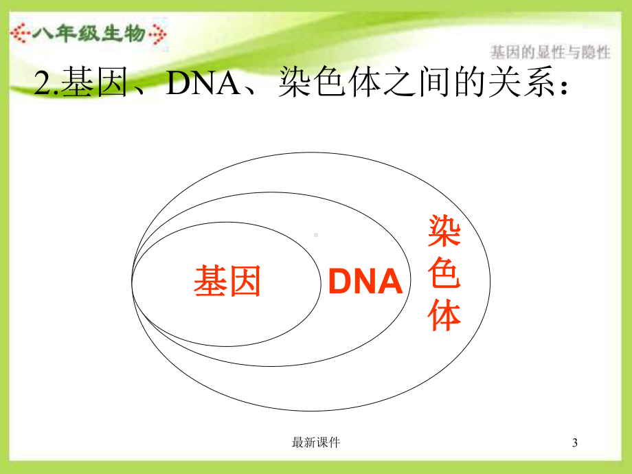 八年级生物基因的显性和隐性课件.ppt_第3页