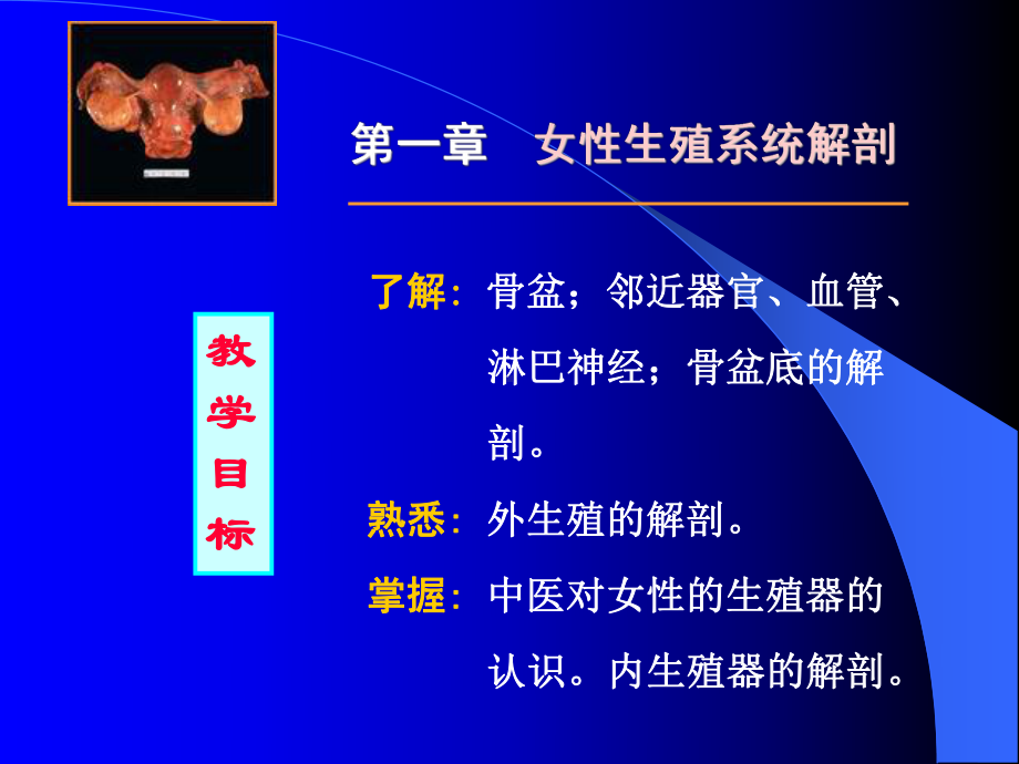 骨盆底的解剖熟悉安徽中医药高等专科学校课件.ppt_第1页