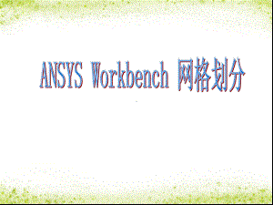 ANSYS-Workbench-网格划分解析课件.ppt