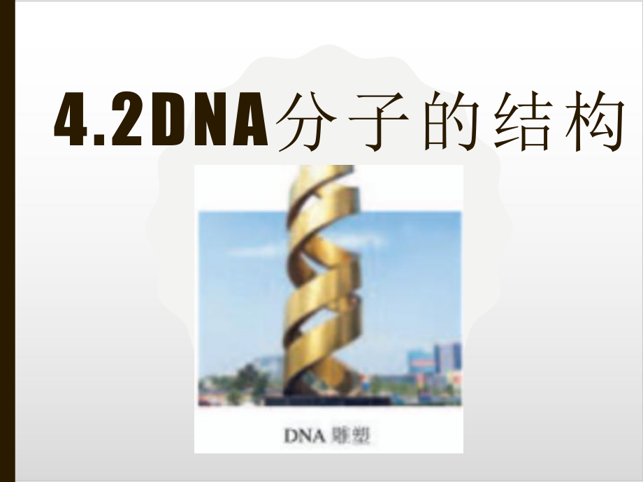 42-DNA分子的结构精美版课件.pptx_第1页