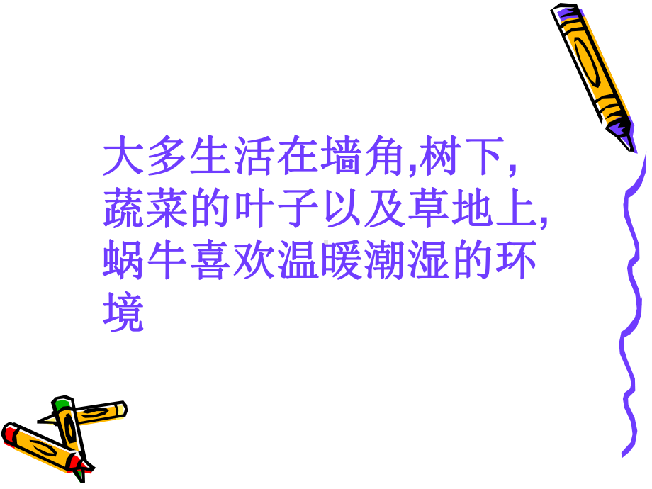 观察蜗牛重点课件.ppt_第3页