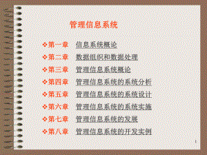 《信息管理系统》课件.ppt