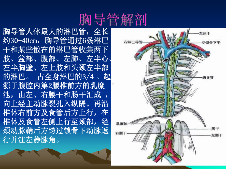 乳糜胸韦方宁课件.ppt_第3页