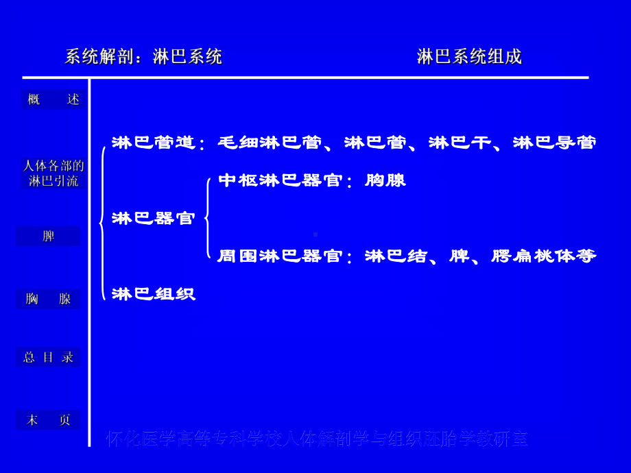 人体解剖学淋巴系统课件.ppt_第3页