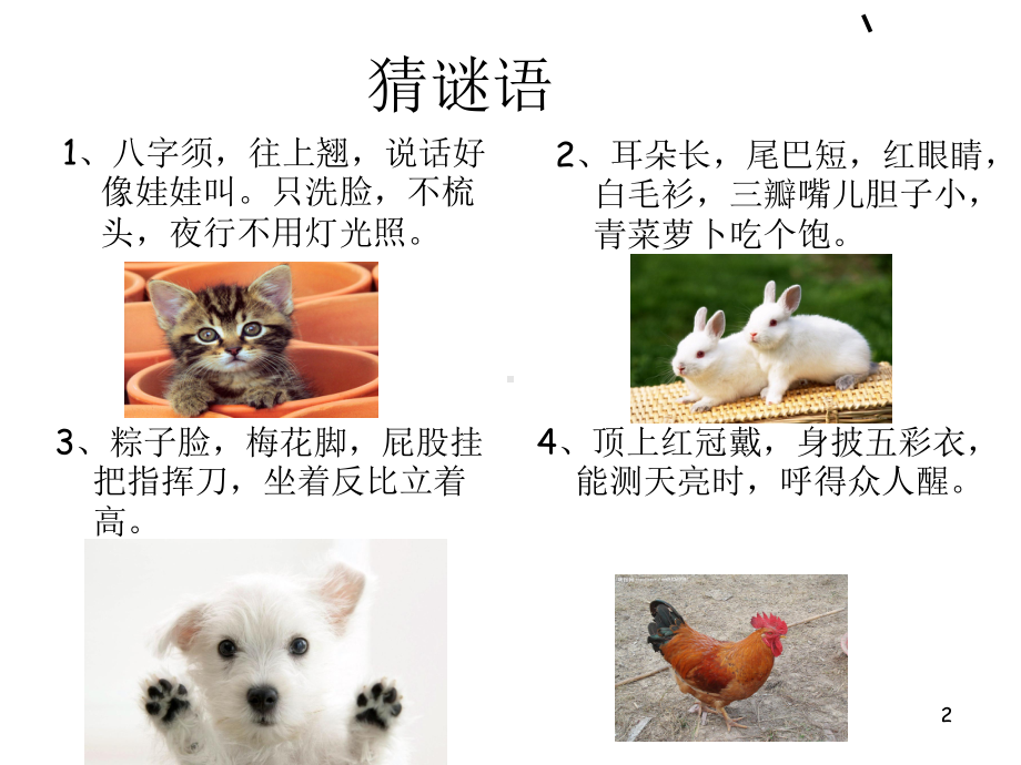 写一种你喜欢的动物课件.ppt_第2页