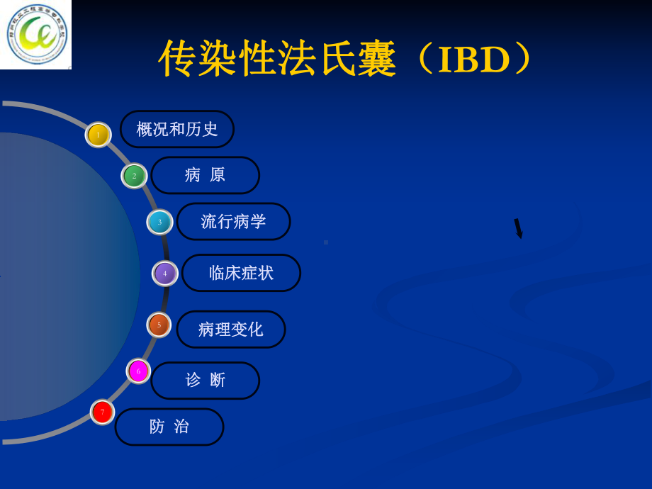 第八节鸡传染性法氏囊病课件.ppt_第1页