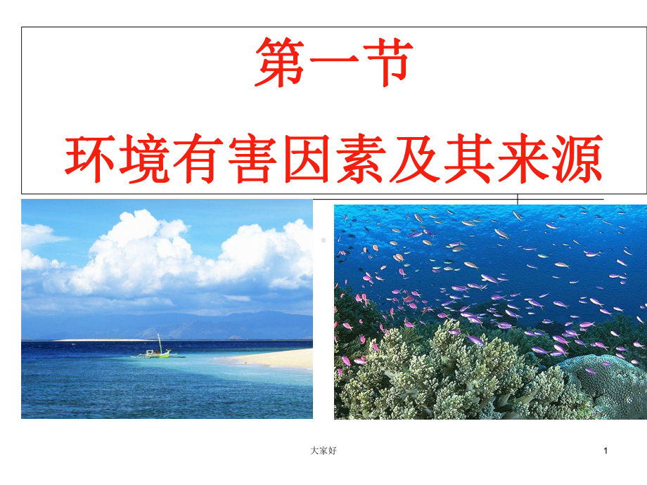 预防医学环境与健康课件.ppt_第1页