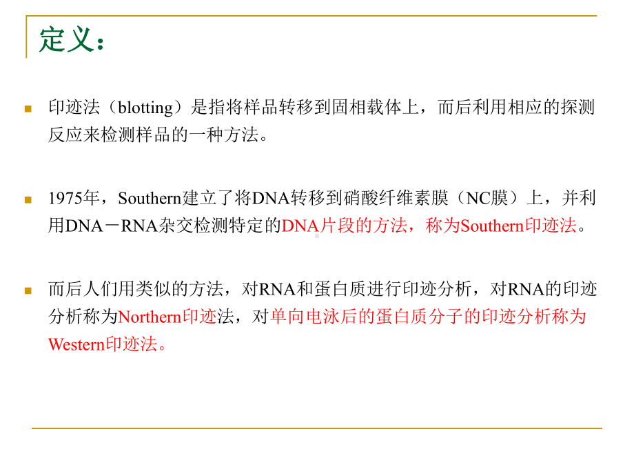 western-blot-实验技术-1115--资料课件.ppt_第2页