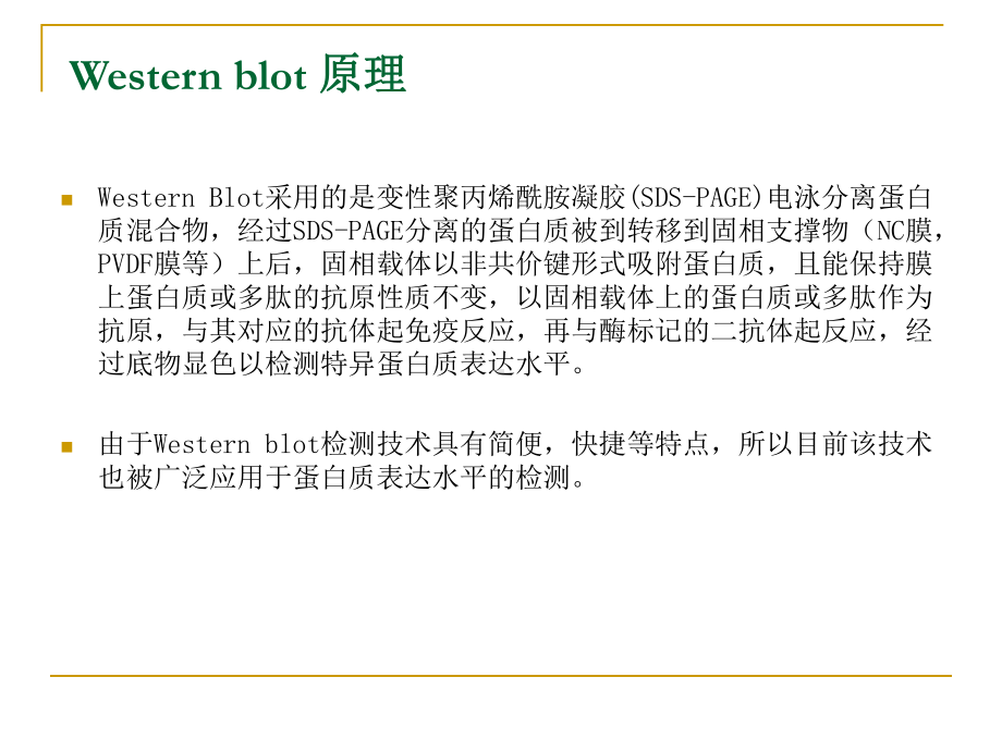 western-blot-实验技术-1115--资料课件.ppt_第3页