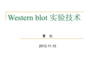 western-blot-实验技术-1115--资料课件.ppt