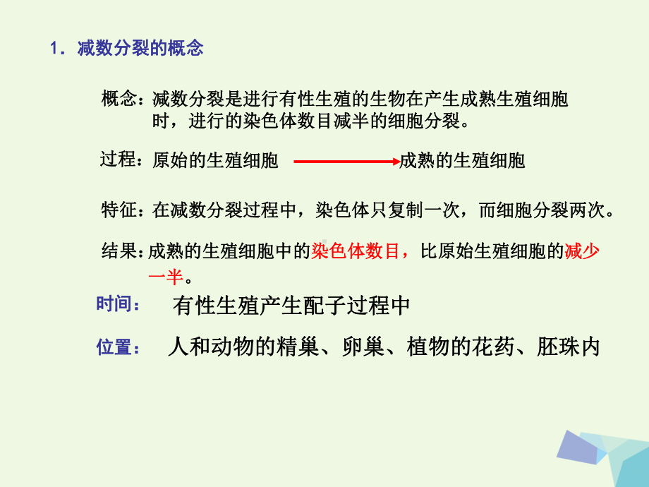 高中生物减数分裂和有性生殖细胞的形成北师大版必修2课件.ppt_第2页