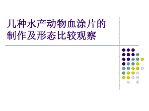 鱼类血涂片制作课件.ppt