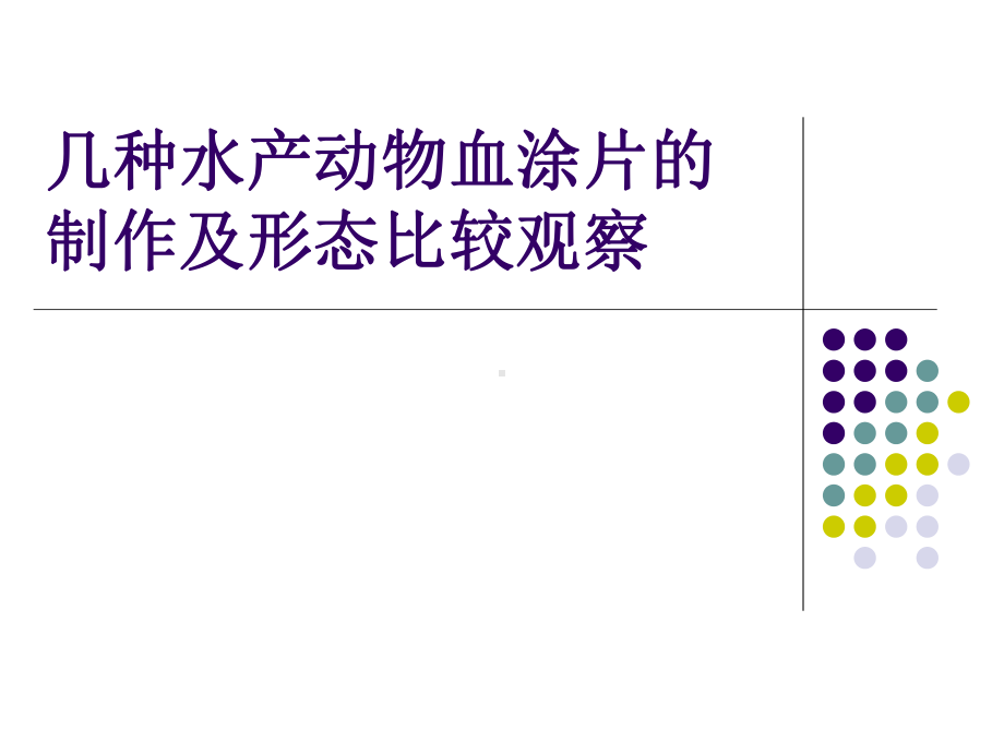 鱼类血涂片制作课件.ppt_第1页