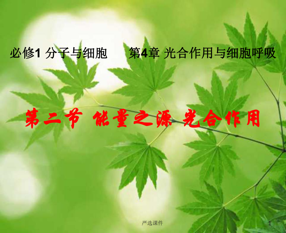 光合作用探究实验(学校教学)课件.ppt_第1页