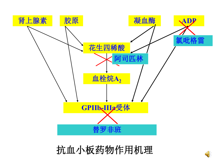 抗血栓药物的临床应用与案例分析课件.ppt_第3页