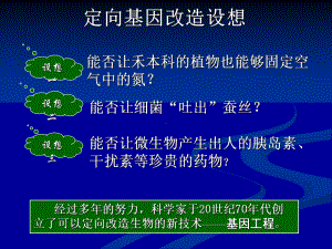 《基因操作工具》课件.ppt